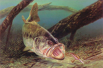 "Dinner On The Run" by fish artist Randy McGovern