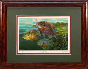 "Gill Gang" - Sunfish by fish artist Randy McGovern.