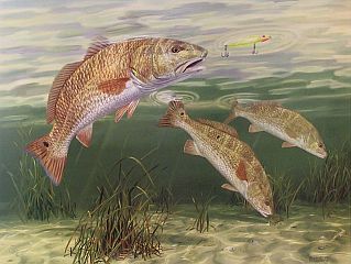 "Not On My Watch" by fish artist Randy McGovern