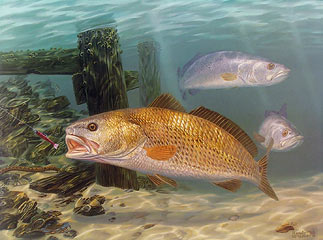 "Red Alert" by fish artist Randy McGovern
