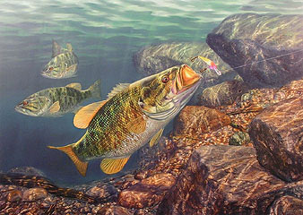 "Taking The Rap" by fish artist Randy McGovern