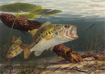 "That Does It" by fish artist Randy McGovern