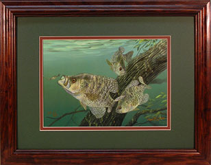 "Tree Dwellers" - Crappies by fish artist Randy McGovern